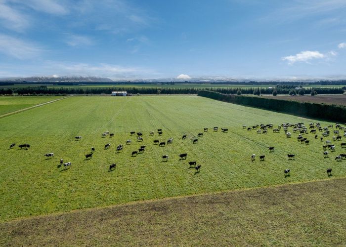  at 2034 Rakaia Highway, Rakaia, Ashburton, Canterbury