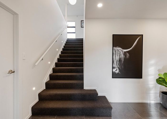  at 17A Ranfurly Avenue, Fairfield, Hamilton