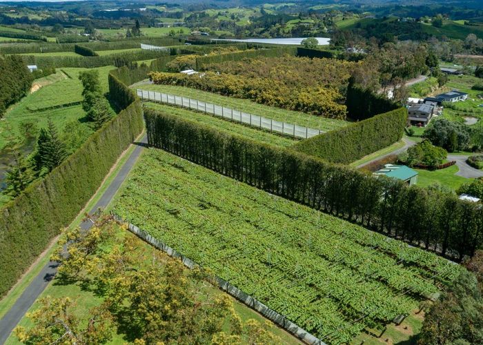  at 12 Sargent Drive, Whakamarama, Western Bay Of Plenty, Bay Of Plenty