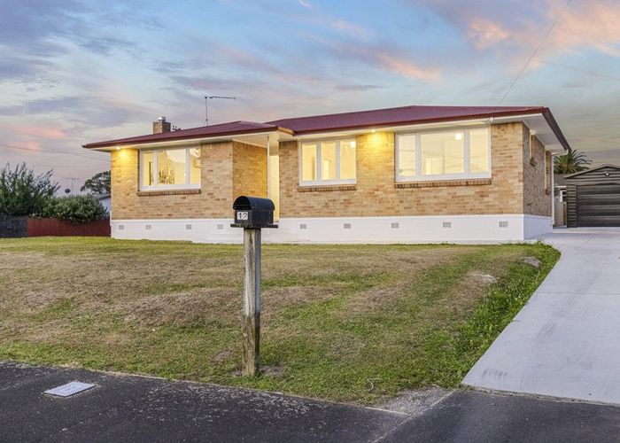  at 12 Richan Street, Glenview, Hamilton