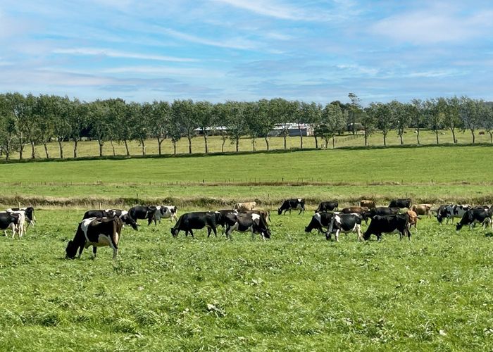 For sale 1040 Pakiri Block Road, Tomarata, Wellsford, Rodney