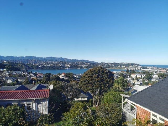  at 2/71 Rakau Road, Hataitai, Wellington, Wellington