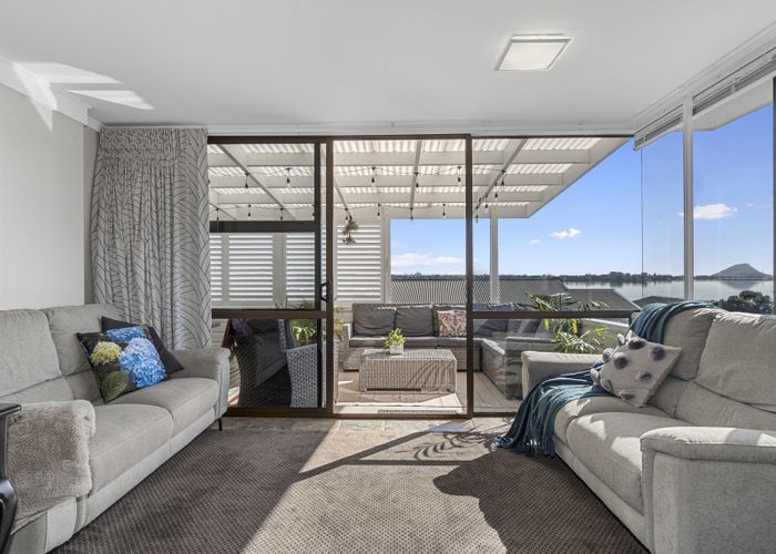  at 264 Maungatapu Road, Maungatapu, Tauranga