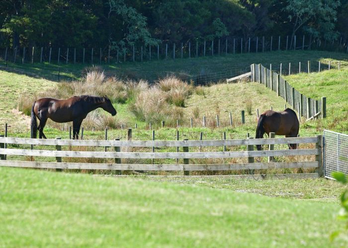  at 313 Pukapuka Road, Warkworth