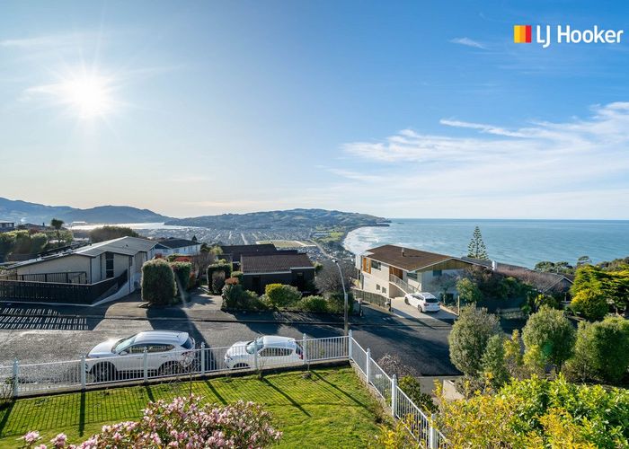  at 20 Sutcliffe Street, Saint Clair, Dunedin