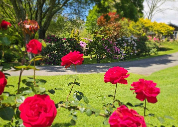  at 57 Armstrong Road, Te Puna, Western Bay Of Plenty, Bay Of Plenty