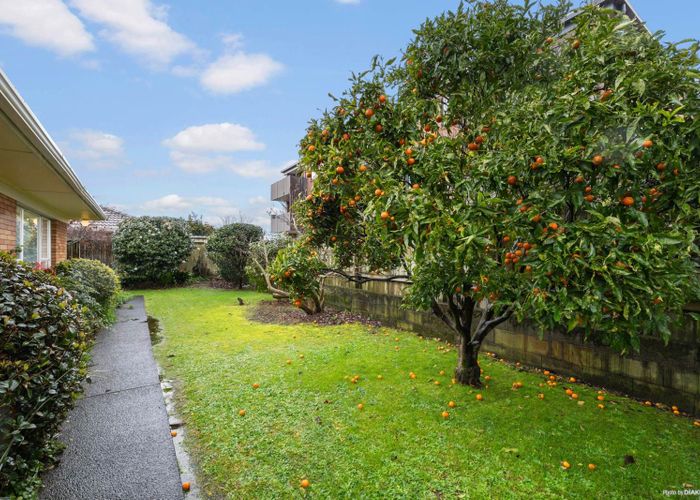  at 3/101 Seddon Street, Pukekohe, Pukekohe