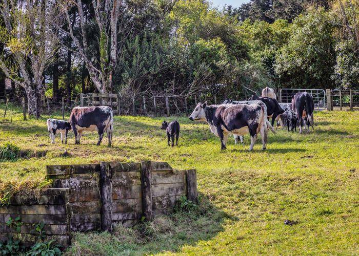 For sale 311 Croydon Road, Tariki, New Plymouth, Taranaki homes.co.nz