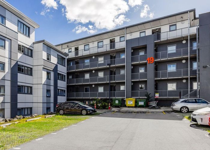  at 19 Morning Star Place, Mount Eden, Auckland City, Auckland