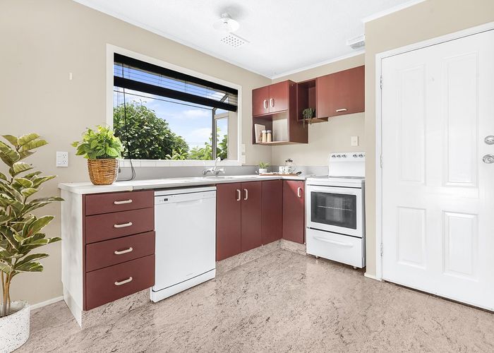  at 3 Newcastle Road, Dinsdale, Hamilton