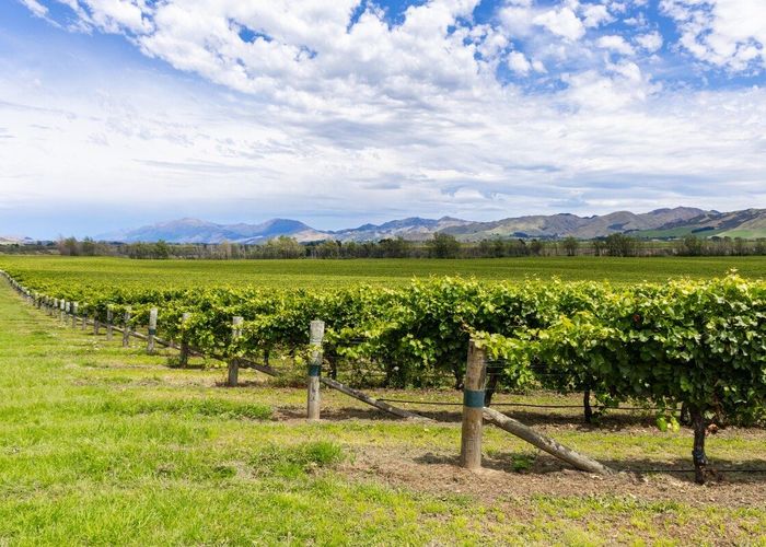  at Seaview Road, Seddon, Marlborough, Marlborough