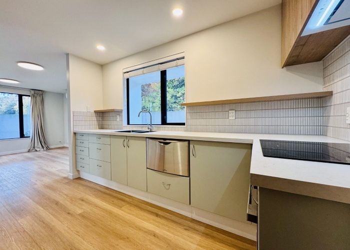 at 119 Deans Ave, Riccarton, Christchurch City, Canterbury