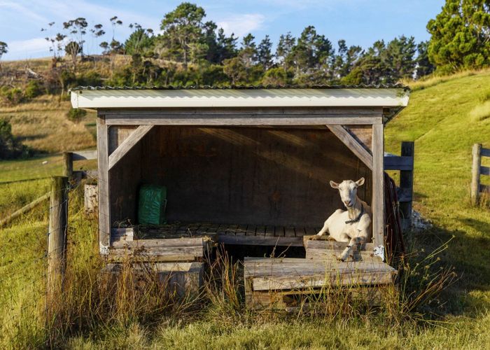  at 132 Dormer Road, Helensville
