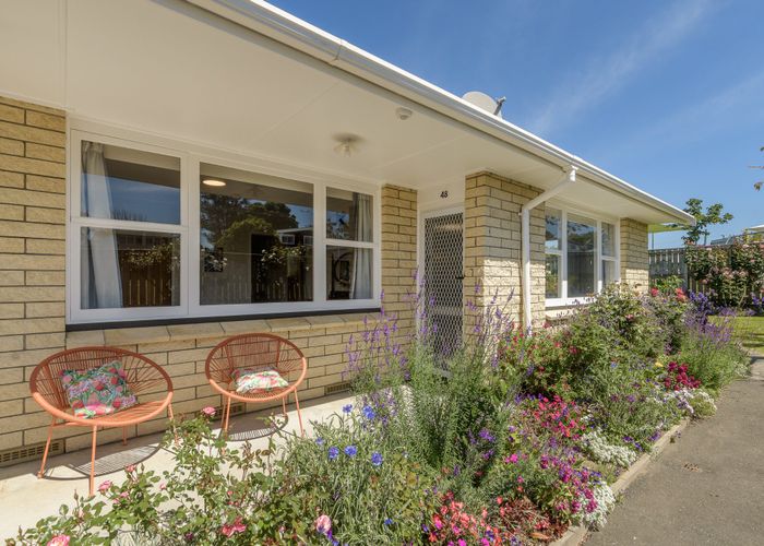  at 48 Seventeenth Avenue, Tauranga South, Tauranga, Bay Of Plenty