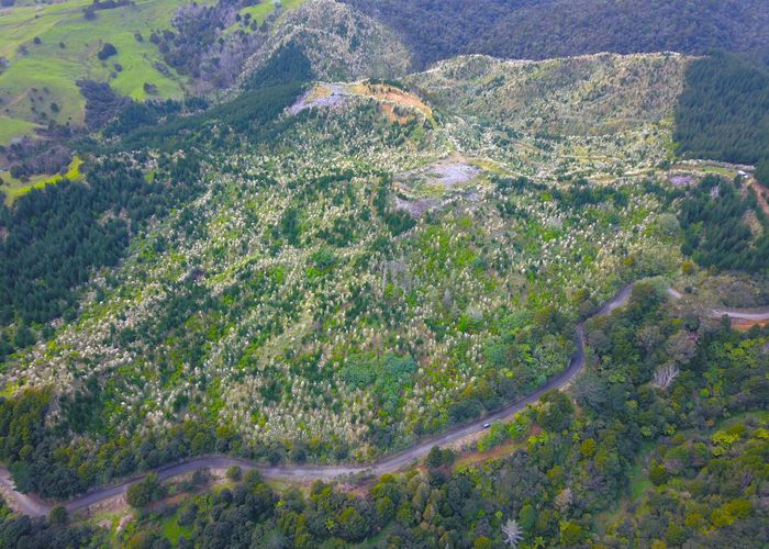  at Lot 2 Waiotehue Road, Broadwood, Far North, Northland