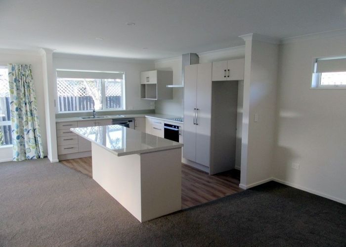  at 12a Studholme Street, Somerfield, Christchurch City, Canterbury