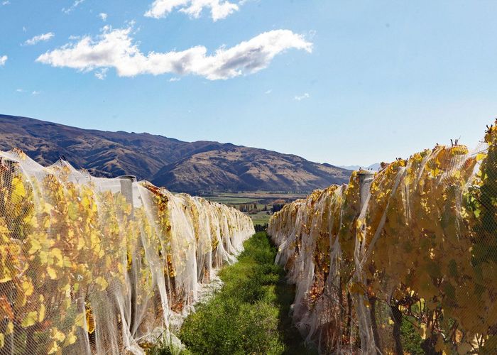  at 76 Ardgour Road, Tarras, Central Otago, Otago