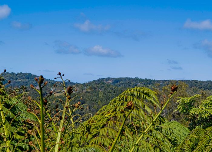  at 772 West Coast Road, Oratia, Auckland