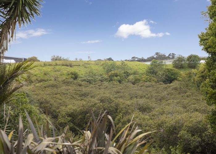  at 1/105 Moa Road, Point Chevalier, Auckland