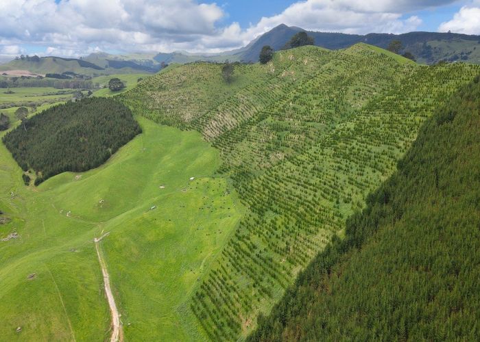  at 1448 Te Kopia Road, Waikite Valley, Rotorua, Bay Of Plenty