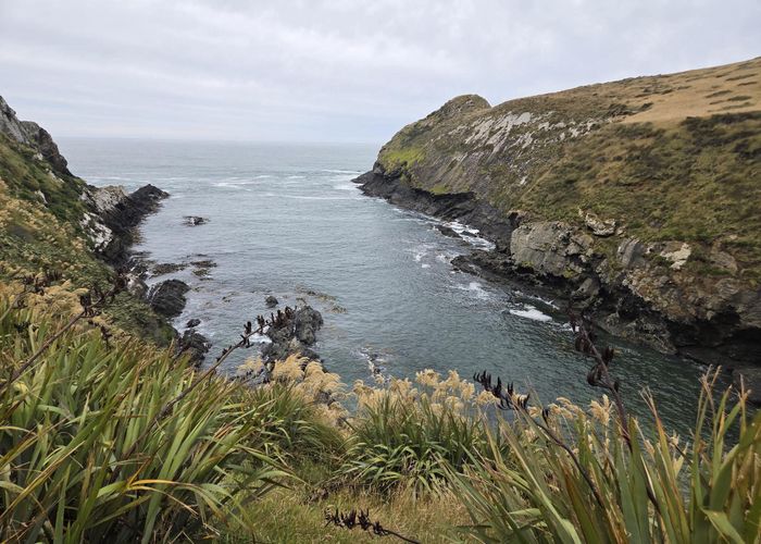  at 0 Cannibal Bay Rd, Owaka, Clutha, Otago