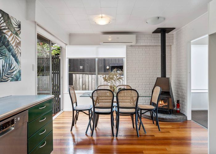  at 20 Welland Place, Hillcrest, North Shore City, Auckland