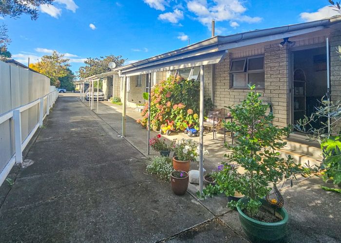  at 3/102 Frimley Ave, Frimley, Hastings, Hawke's Bay