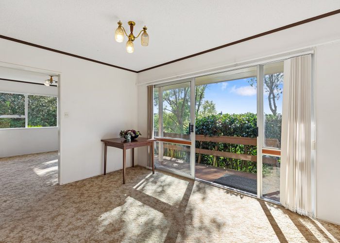  at 111 Hynds Road, Gate Pa, Tauranga