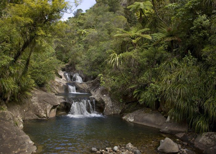 For sale 586 Tapu Coroglen Road, Tapu, ThamesCoromandel, Waikato