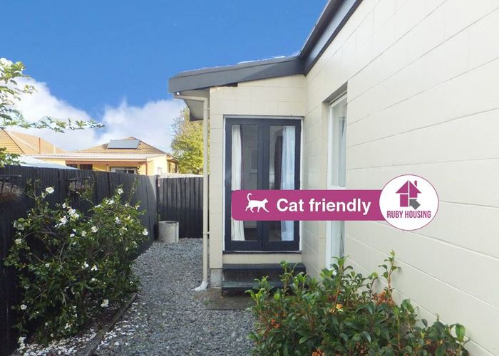  at 6/23 Frederick Street, Waltham, Christchurch City, Canterbury