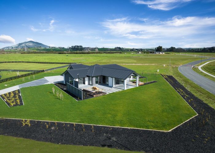  at 46 Sherwin Street, Pirongia