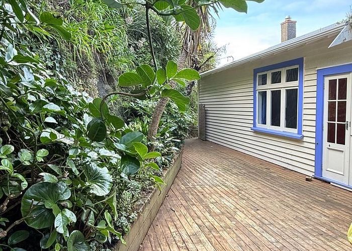  at 16 Asquith Terrace, Brooklyn, Wellington, Wellington