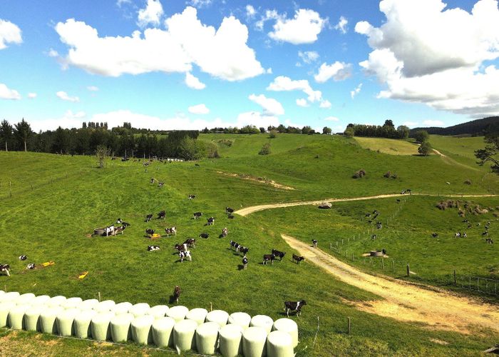  at 1/1745 Arapuni Road, Te Awamutu, Waipa, Waikato