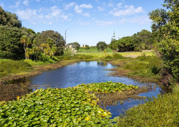  at 7 Greenway Rise, Gulf Harbour, Rodney, Auckland