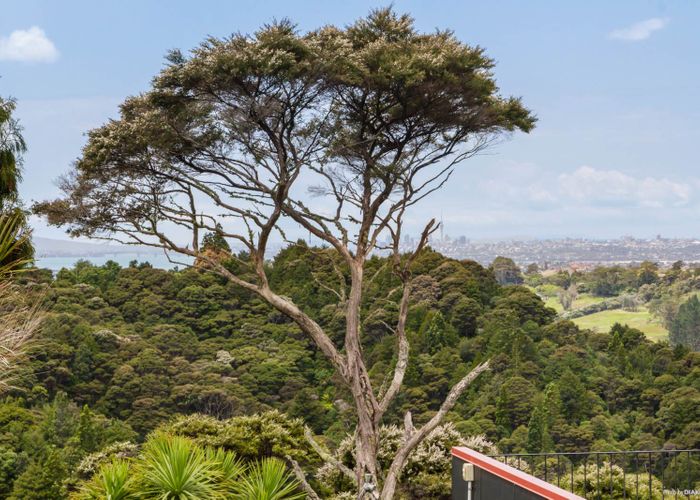  at 20 Kitewaho Road, Swanson, Auckland