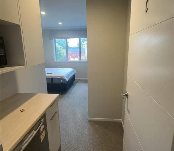  at 3/16 Manning Street, Hamilton City Central, Hamilton, Waikato