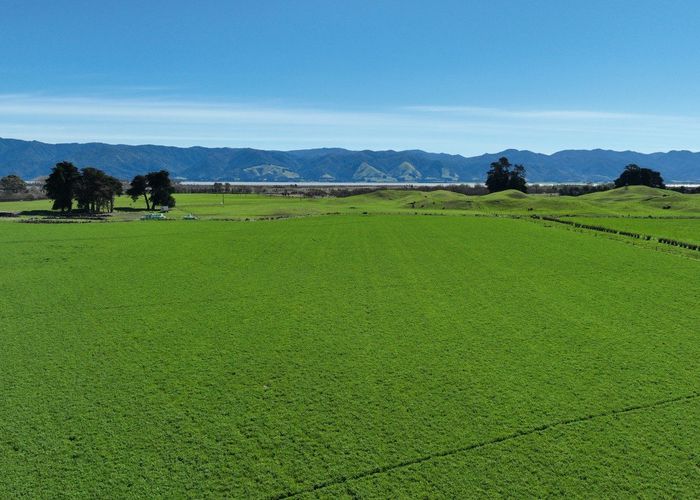  at 1556 Kahutara Road, Martinborough, South Wairarapa, Wellington