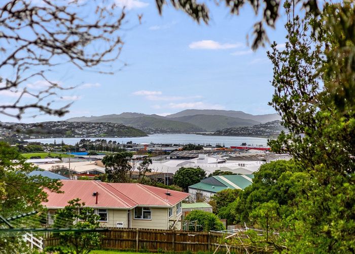  at 17 Aparangi Crescent, Elsdon, Porirua, Wellington