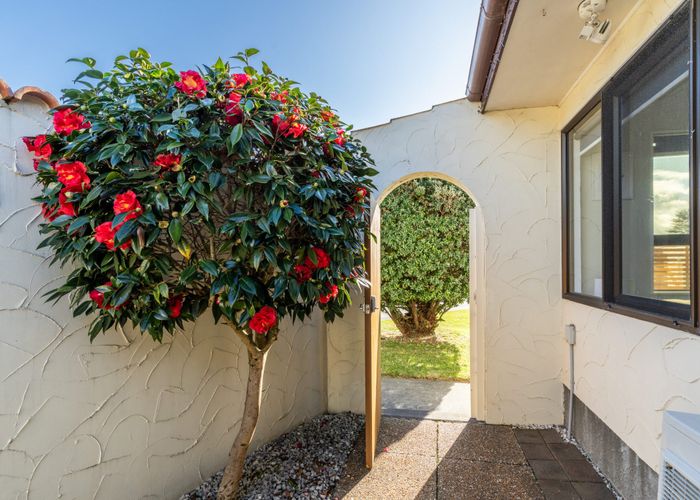  at 8A Banff Place, Tamatea, Napier, Hawke's Bay