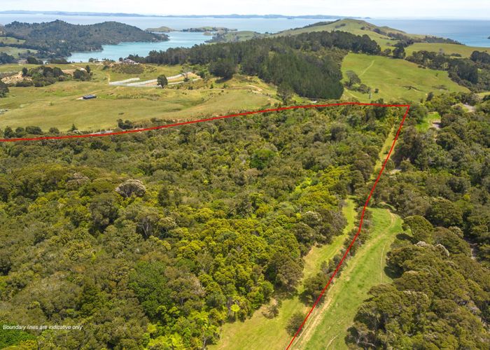 For sale 1288 Manaia Road, Coromandel, ThamesCoromandel, Waikato