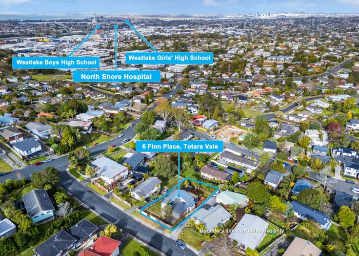  at 6 Finn Place, Totara Vale, Auckland