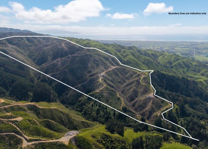  at 170 Mangaone North Road, Te Horo, Kapiti Coast, Wellington