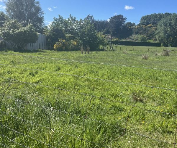 Recently sold 192 Kana Street, Mataura homes.co.nz