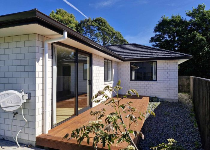  at 21 Sycamore Grove, Lower Vogeltown, New Plymouth