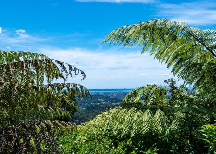  at 154 Opanuku Road, Henderson Valley, Waitakere City, Auckland