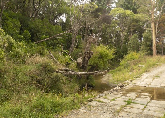  at 0 Bute Rd, Mangapakeha, Masterton