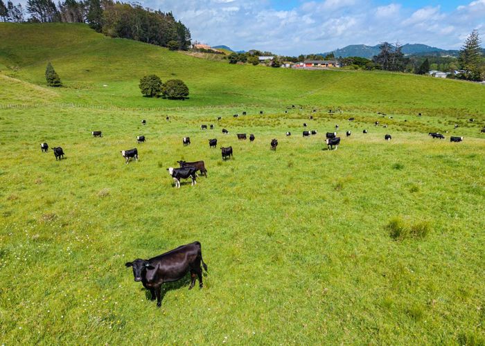  at 54 Harris Road, Glenbervie, Whangarei, Northland