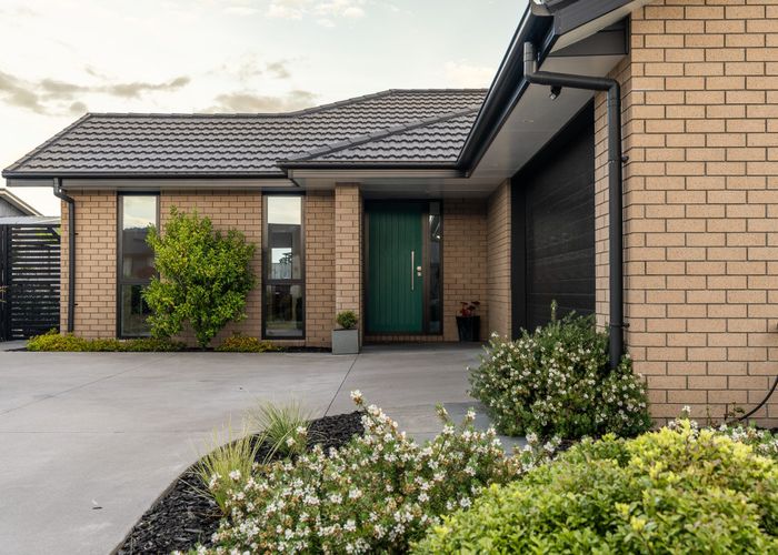  at 19 Mahutonga Terrace, Hamilton