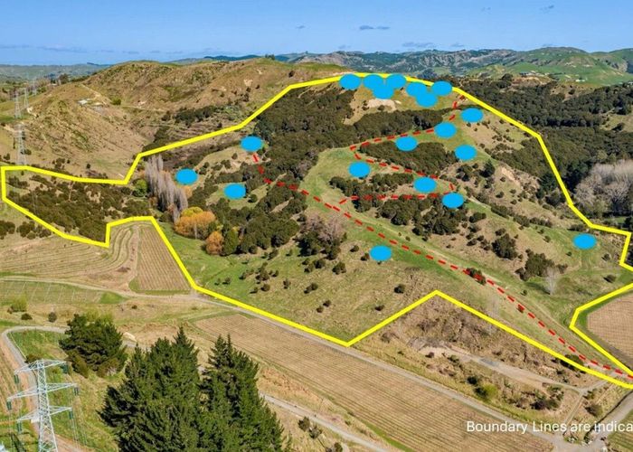  at 16 Linden Close, Eskdale, Hastings, Hawke's Bay
