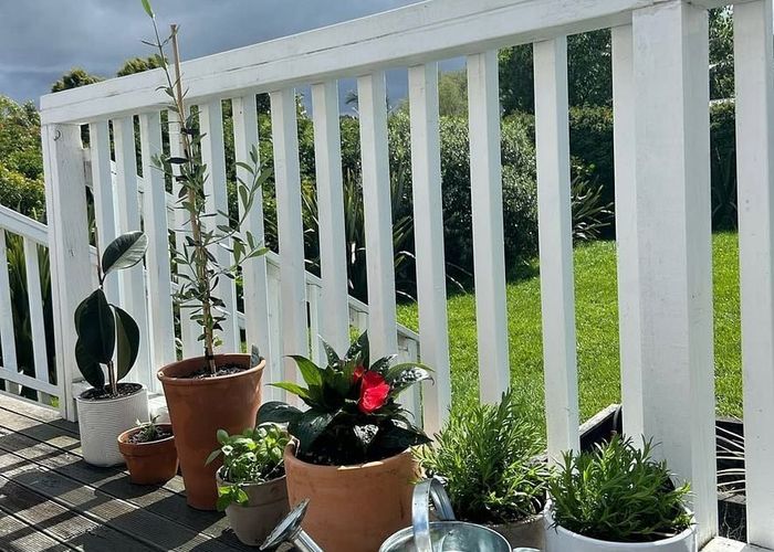  at 11 Tristram Avenue, Forrest Hill, North Shore City, Auckland
